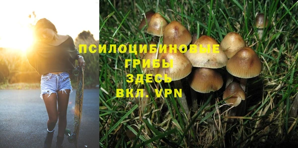 не бодяженный Красноперекопск