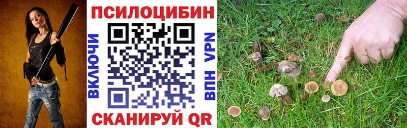 Галлюциногенные грибы GOLDEN TEACHER купить Нолинск